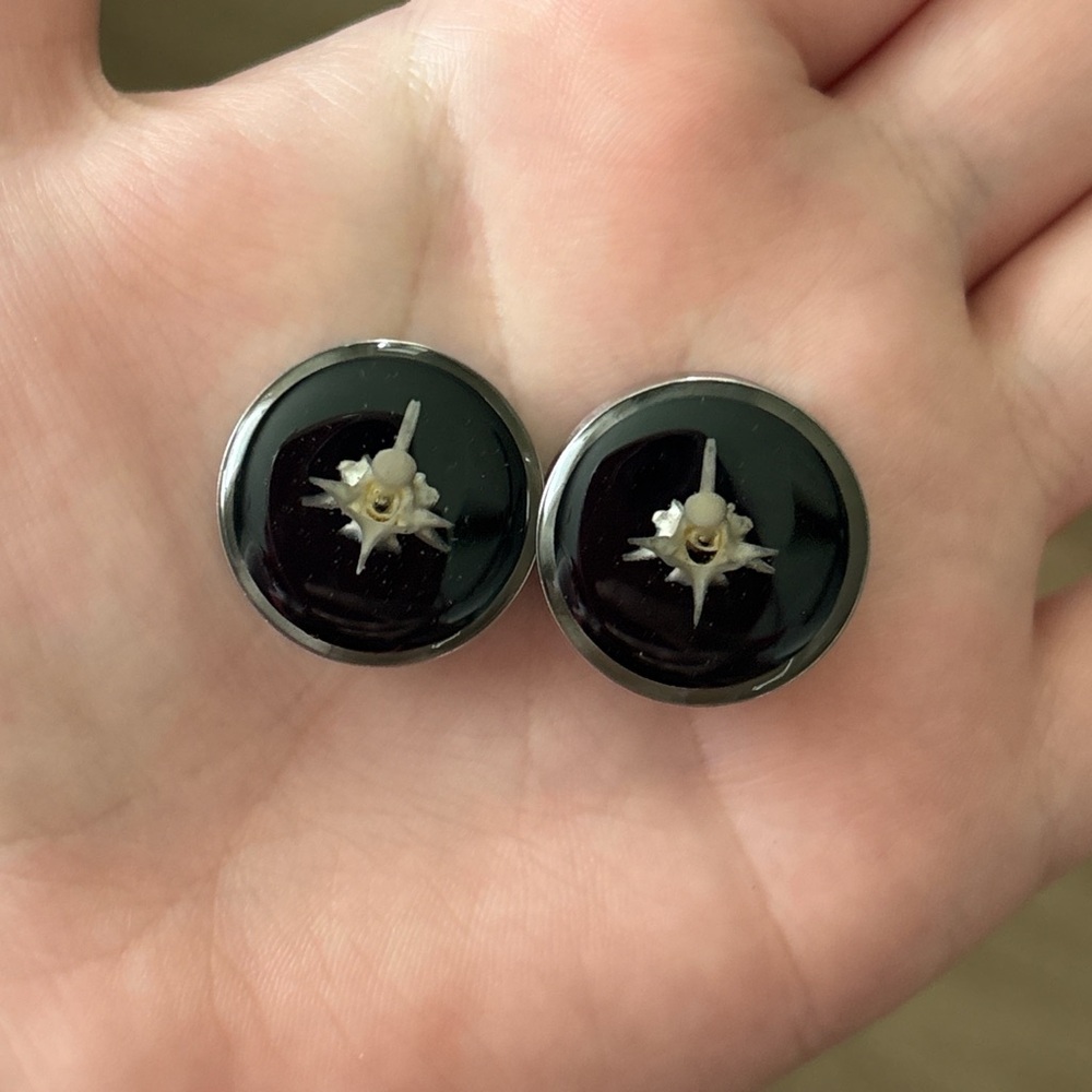 Handmade oddity plugs!